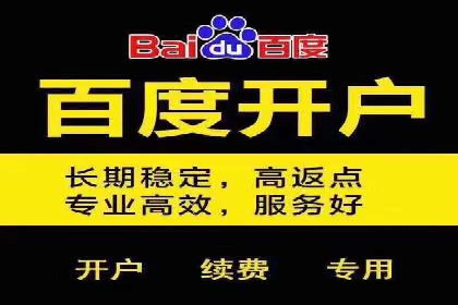 SEM推广优化中的关键词策略——以某品牌为例